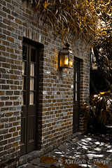 New Orleans Courtyard Shadowbox Texture