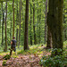 Im Wald - 20130615