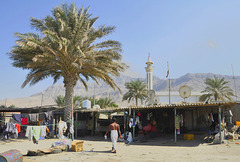 Fischerhafen in Ghalilah