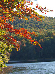 Mountain Lake shows her colors