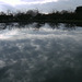 Glastonbury Abbey Fish Pond