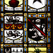 Heraldry Stained windows