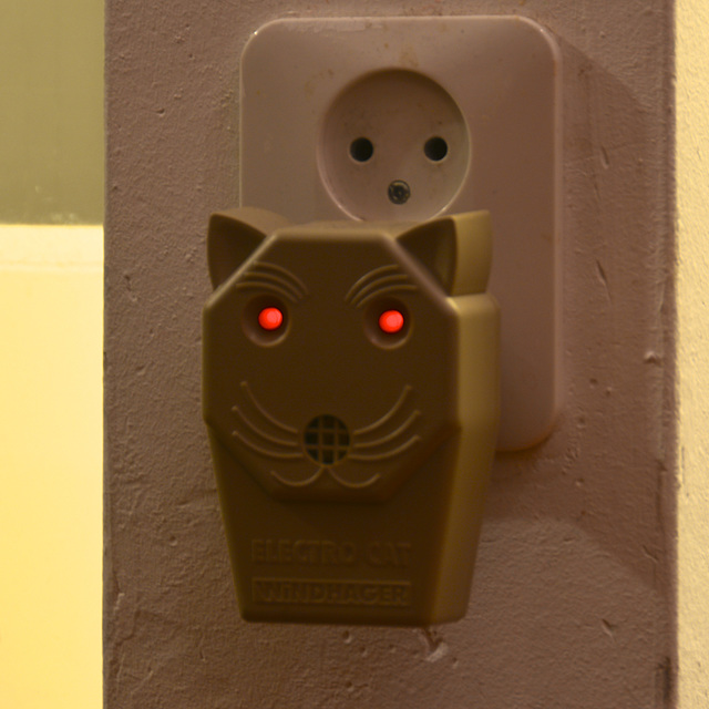 Electro Cat