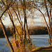 Late Light on the Connecticut River