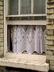 Lace Curtain