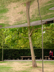 Serpentine Pavilion 4 (Two-trunk tree)