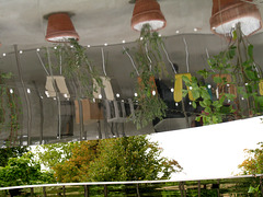 Serpentine Pavilion 1 (Pot plants)