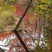 Churchill Brook, Autumn
