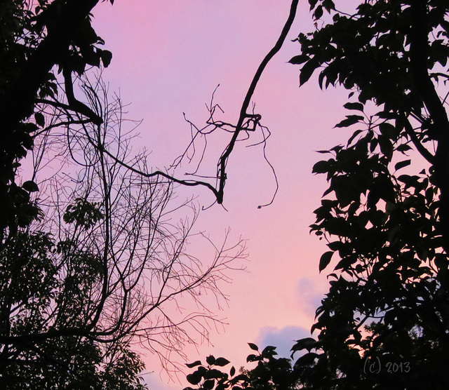 pastels overhead -