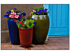 Old Town Alley Potted Plants