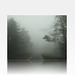 Into the misty fog -