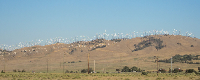 Tehachapi Wind Turbines (3241)