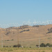 Tehachapi Wind Turbines (3241)