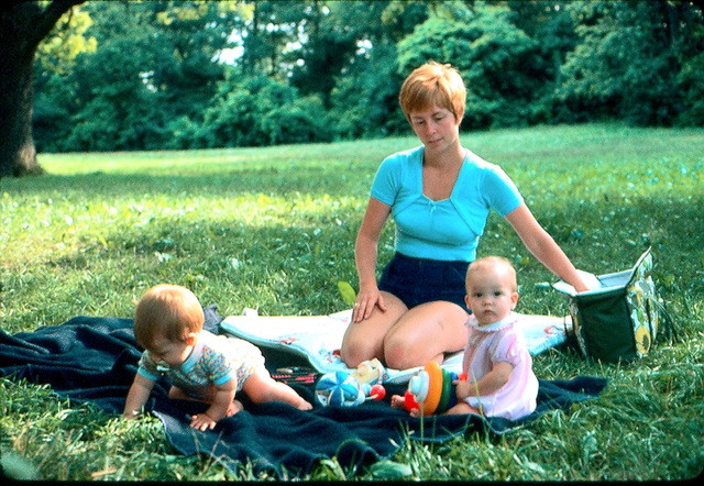Chicago Forest Preserve Picnic - July 1975