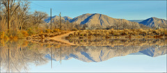 Reflection in the desert