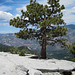 Sequoia NF, Dome Rock (3398)
