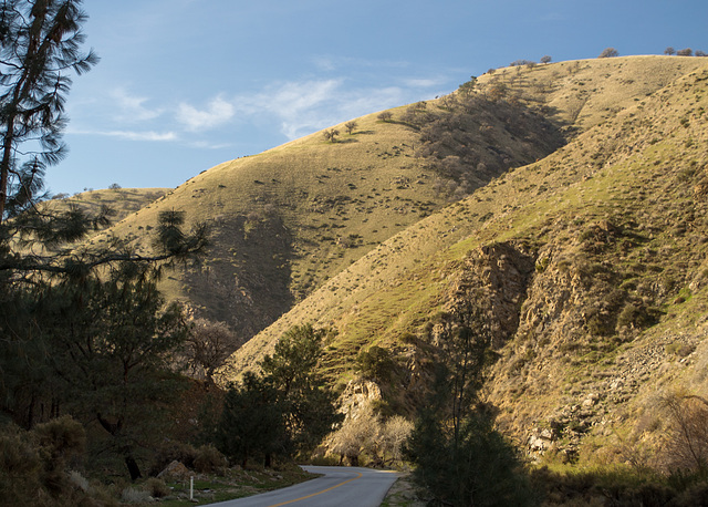 Caliente Creek road (0474)