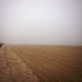 foggy mornin' tracks