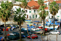 Madeira. Am Hafen von Camara de Lobos. ©UdoSm