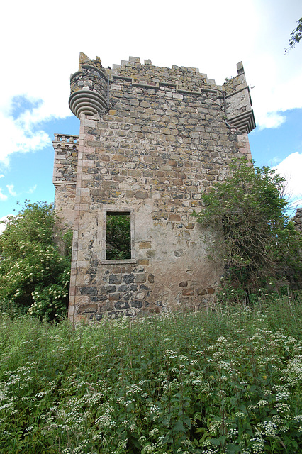 Rothie Castle, Aberdeenshire (50)