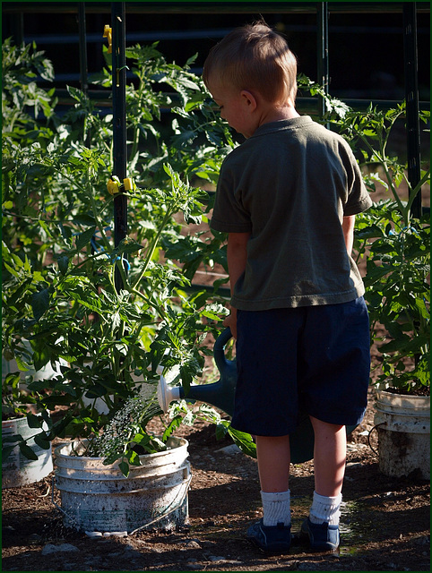 the littlest gardener the littlest gardener