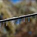 ice on the power line