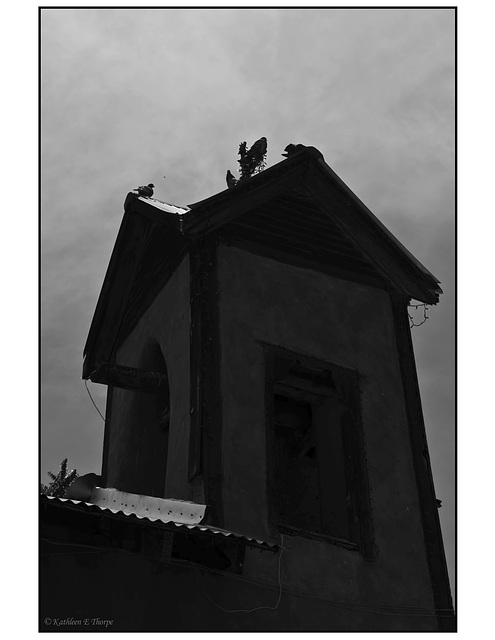 San Ysidro Church belfry with pigeons