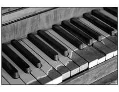 Trading Post Piano Keys in black and white