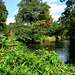 Aldershot Park lake - Panorama1