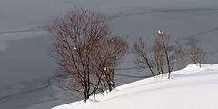Davosersee - 2012-01-01-_DSC5784