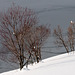 Davosersee - 2012-01-01-_DSC5784