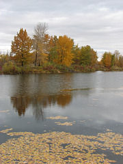 Carburn Park in fall