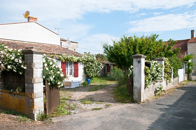 Haus mit Garten  an schmaler Seitenstrasse in La Cotinière - 2011-05-02-_DSC7394