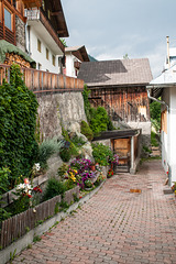 Blumen-Garten in Stilfs - 2012-07-13-_DSC0731