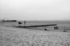 elbstrand-1180099-co-19-01-14 apx25