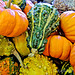 Asheville Farmers' Market Gourds