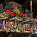 Pfelderertal, Lazins: Mit Blumen geschmückter Balkon des Gasthauses - 2010-10-15-_DSC4738