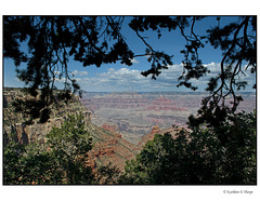 Grand Canyon Moran Point View