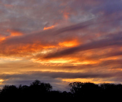 Sunset at Paddy Freemans Park