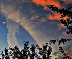 vapour trails in the early evening sky