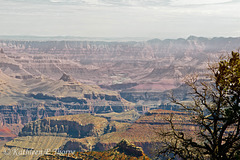 Grand Canyon in Haze.  As it is a good amount of time, the Grand Canyon is hazy.