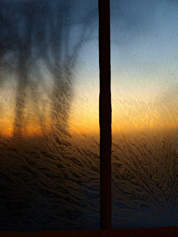 frost in front of a sunset