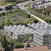Pflanzen-Anzucht-Gärtnerei und Überwinterungs-Glashäuser - 2013-10-09-_DSC8775 - Copy