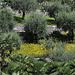 Botanischer Garten Trauttmansdorff in Meran -_DSC8232 - Copy