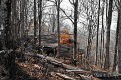 Cabin in the Woods - Selective Colorization