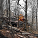 Cabin in the Woods - Selective Colorization