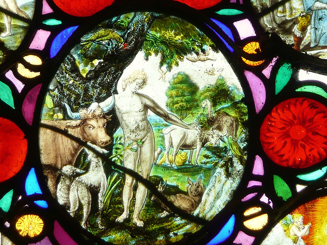 nowton church, suffolk; c17 glass; adam naming the animals