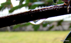 Drop of Water.