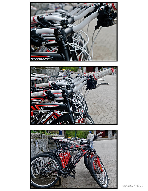 Bike triptych in Whistler