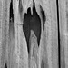 Halloween face in wood